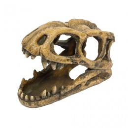 AC Decoración Cabeza Fósil Tiranosaurio Rex