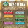 Oxbow Heno de Huerto Orchard Grass Hay 500g