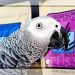 Cómo legalizar nuestro Yaco