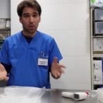 ¿Sabes cómo debes dar la papilla en loro papillero? Te explicamos unos pequeños trucos que te facilitarán mucho las cosas ;)