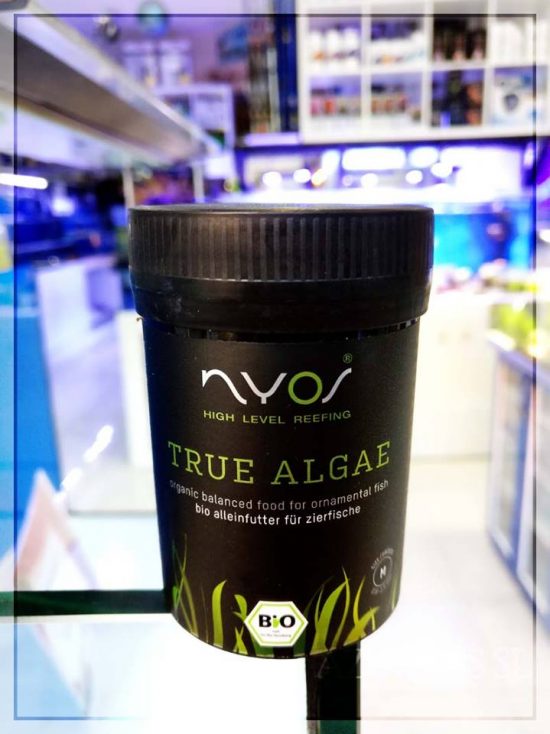 ¿Has probado la alimentación de Nyos " True Algae" ? Va fenomenal ya los peces les encanta.