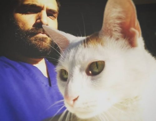 Próximamente en los cines... "Los dos magníficos". Si disfrutaste de Bruce Willis en la Jungla de Cristal, o de Chuacheneguer en Terminator... ¡¡ vas a flipar con lo que van a hacer estos dos en Azureus!!