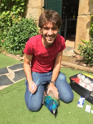 Alejandro Martín atendiendo a Currito, nuestro pavo real preferido.