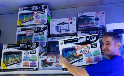 David colocando el pedido de acuarios