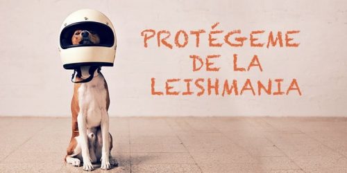 Protégeme de la Leismania