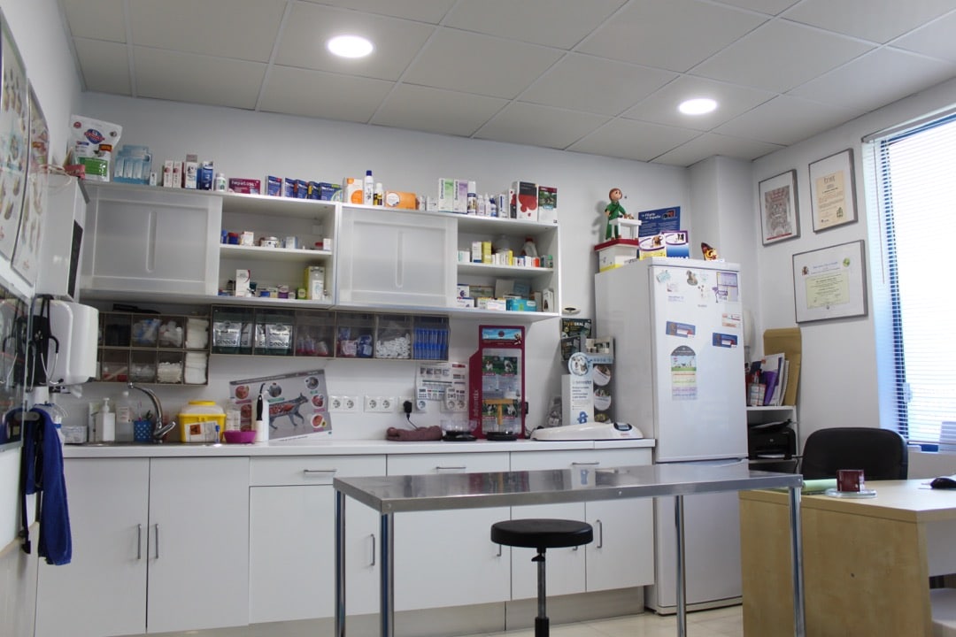 clínica veterinaria en Cáceres