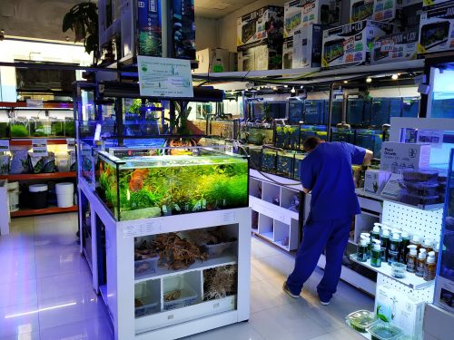 David limpiando las baterias de dulce.